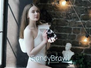 SandyBrawl