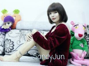 SandyJun