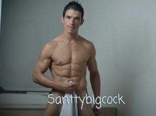 Santtybigcock