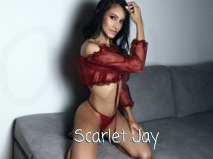 Scarlet_Jay