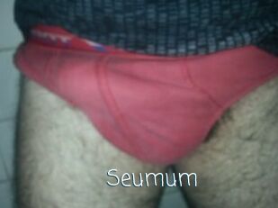 Seumum