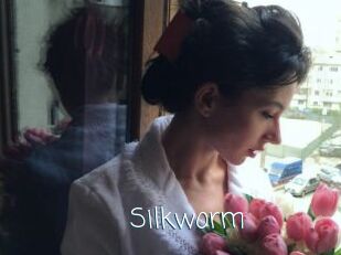 Silkworm