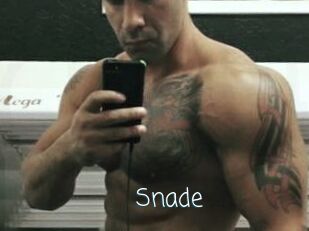 Snade