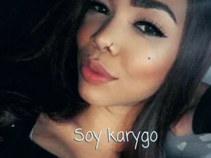 Soy_karygo