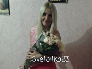 Sveto4ka23