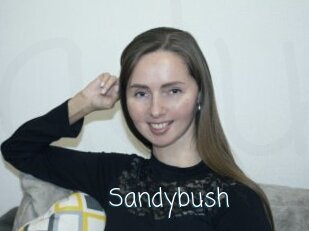 Sandybush