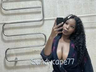 Sandycape77