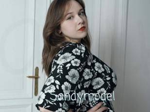 Sandymodel