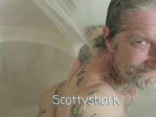 Scottyshark