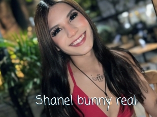 Shanel_bunny_real