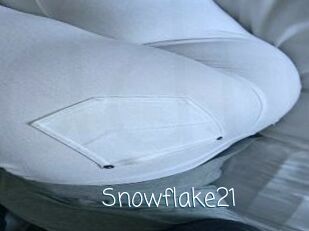 Snowflake21