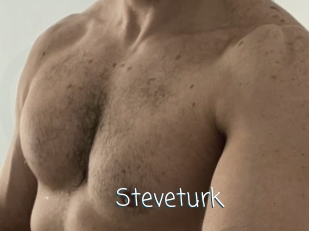 Steveturk