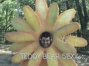 TEDDY_BEAR_SEXY