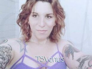 TS_Venus