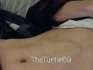 TheTurtle69