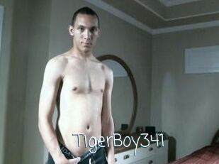 TigerBoy341