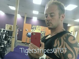 Tigerstripes6767