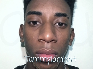 Tammylambert