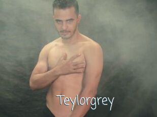 Teylorgrey