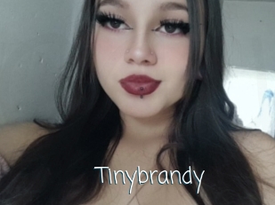 Tinybrandy