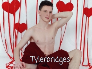 Tylerbridges