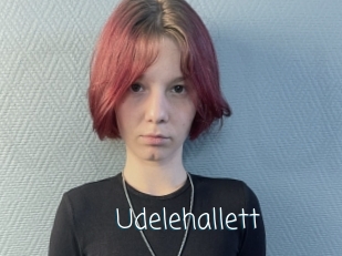 Udelehallett