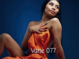 Vane_077