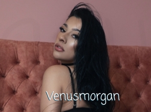 Venusmorgan