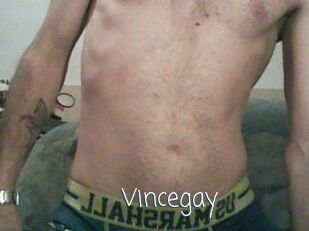 Vincegay