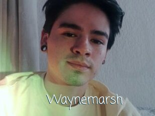 Waynemarsh