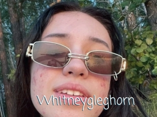 Whitneygleghorn