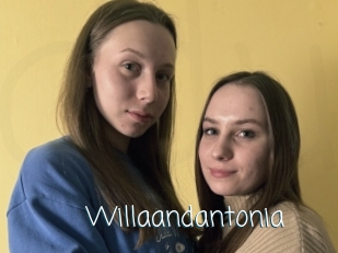 Willaandantonia