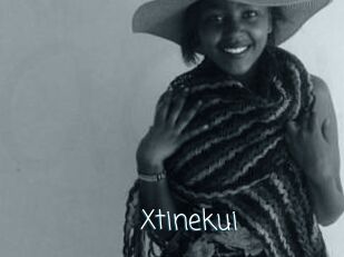 Xtinekui