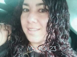 YECAOL23