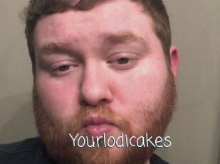 Yourlodicakes