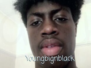 Youngbignblack