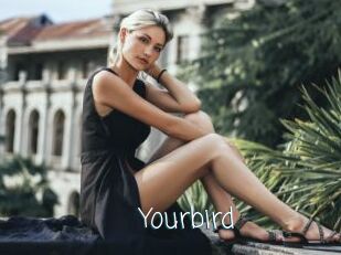 Yourbird