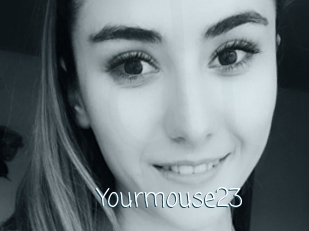 Yourmouse23