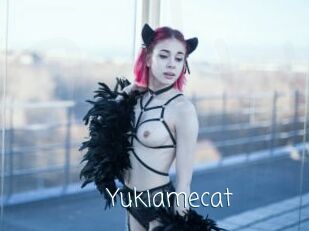 Yukiamecat