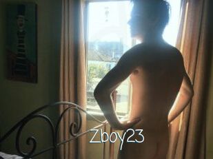 Zboy23