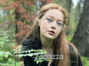 Zadnizza