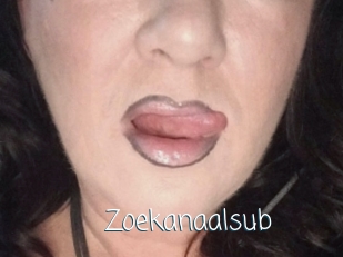 Zoekanaalsub